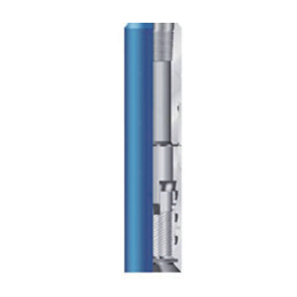 黑龙江香蕉视频黄色网站