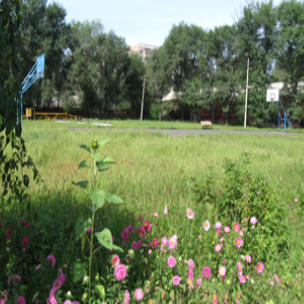 香蕉视频破解版下载